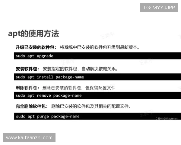 AG女优厅会员登录职责全面解析，助你轻松掌握操作流程与使用技巧